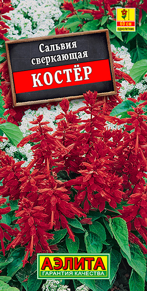 Сальвия "Костёр" 0,1 г