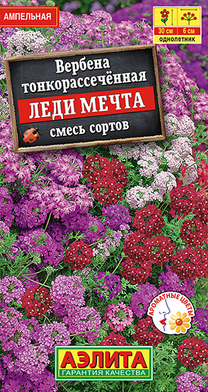 Вербена "Леди мечта" смесь 30шт