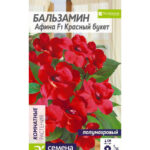 Цветы ком. Бальзамин "Афина Красный букет" 5шт СА