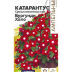 Цветы ком. Катарантус "Бургунди Хало" Средиземноморский ампельный 5шт СА