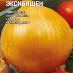 Лук "Эксибишен" Однолетний 0,2г ТГ