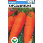 Морковь "Курода Шантанэ" 1г СС