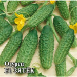 Огурец "Зятек F1" 5шт ТГ