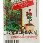 Стимулятор роста "Корневин 5 г."