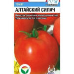 Томат "Алтайский силач" 20шт СС
