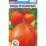 Томат "Вождь краснокожих" 20шт СС