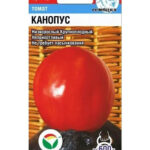 Томат "Канопус" 20 шт СС