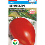 Томат "Кенигсберг" 20шт СС