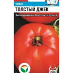 Томат "Толстый Джек" 20шт СС
