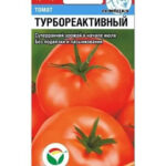 Томат "Турбореактивный" 20шт СС