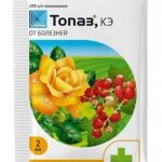 Фунгицид "Топаз, КЭ"(2 мл.)