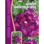 Цветы ком. Адениум "Фиолетовый Город" 3шт Ред.сем
