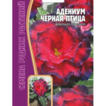 Цветы ком. Адениум "Черная птица"  3 шт Ред.Сем