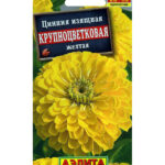 Цветы одн. Цинния "Крупноцветковая желтая" 0,3г АЭЛИТА