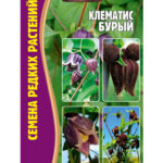Цветы мн. Клематис "Бурый" 5шт РедСем