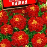 Цветы одн. Бархатцы "Красная вишня" 0,3г Аэлита