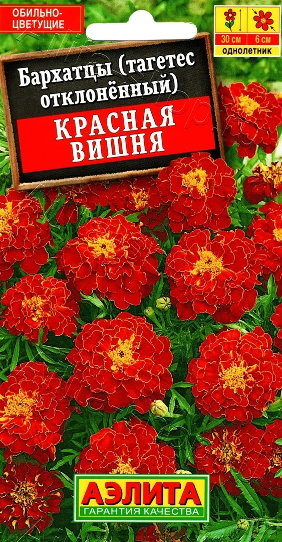 27d9ddb763ebf05100c5175edcfd9f20 Цветы одн. Бархатцы "Красная вишня" 0,3г Аэлита — изображение 1