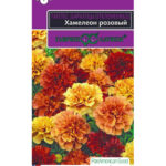 Цветы одн. Бархатцы "Хамелион розовый" 5шт Гавриш
