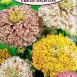 Цветы одн. Цинния "Карнавал" смесь 0,3г Аэлита