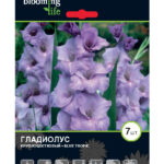 Гладиолус "Блю Тропик", в упаковке 10 шт., цена за 1 шт.