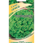 Салат "Орфей" 0,5г Гавриш