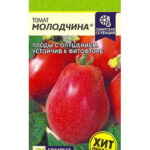 Томат "Молодчина" 0,05г СА
