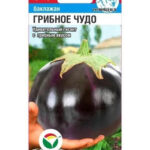 Баклажан "Грибное Чудо" 20шт СС