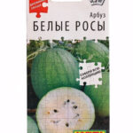 Арбуз "Белые Росы" Аэлита