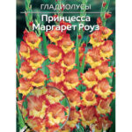 Гладиолус "Пр Маргарет Роуз", в упаковке 10 шт., цена за 1 шт.