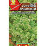 Салат "Кучерявец Грибовский" 0,5г Аэлита