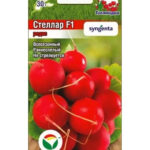 Редис "Стеллар F1" 60шт CC