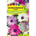 Цветы одн. Остеоспермум "Смесь низкорослая" 0,1г СА