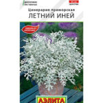 Цветы одн. Цинерария "Летний Иней" 0,05г Аэлита