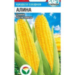 Кукуруза "Алина" 6шт СС