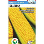 Кукуруза "Былина" 6шт СС