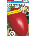 Томат "Буян МАЛИНОВЫЙ" 20шт СС