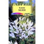 Цветы одн. Клеома "Хелен" 0,2г Гавриш
