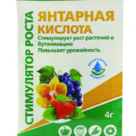 У "Янтарная кислота" 4г 
