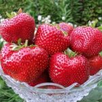 СЯ Земляника садовая "Максим" 10 шт., цена за упаковку