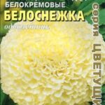 Цветы одн. Бархатцы "Белоснежка" белокремовые 0,05г Аэлита