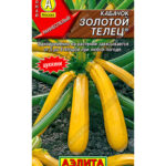 Кабачок "Золотой телец" Аэлита