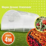Каркас теплицы "Мария Делюкс" (4м*3м*2.1м) профильная стальная труба 20*20 мм + крепеж