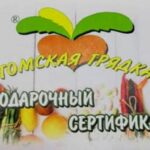 Подарочный серфтификат 500 руб