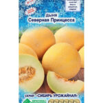 Дыня "Северная Принцесса" 10шт ЕС