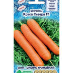 Морковь "Краса севера F1" 0,5г ЕС