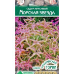 Цветы мн. Седум "Морская звезда" красивый 10шт ЕС