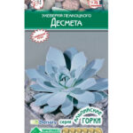 Цветы мн. Эхеверия "Десмета" пеакоцкого 5шт ЕС