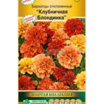 Цветы одн. Бархатцы "Клубничная блондинка" 10шт ЕС
