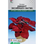 Цветы одн. Колеус "Джиант эксибишн магма" 5шт ЕС