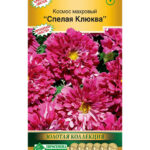Цветы одн. Космея "Спелая клюква" махровый 0,05г ЕС